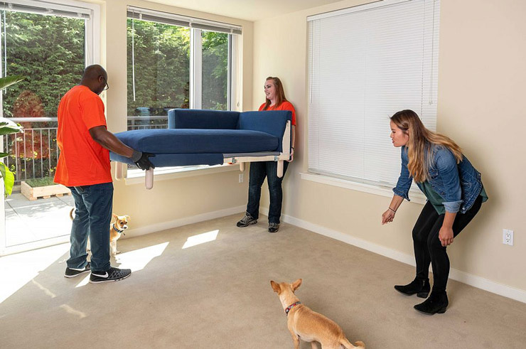 اسباب کشی با حیوان خانگی