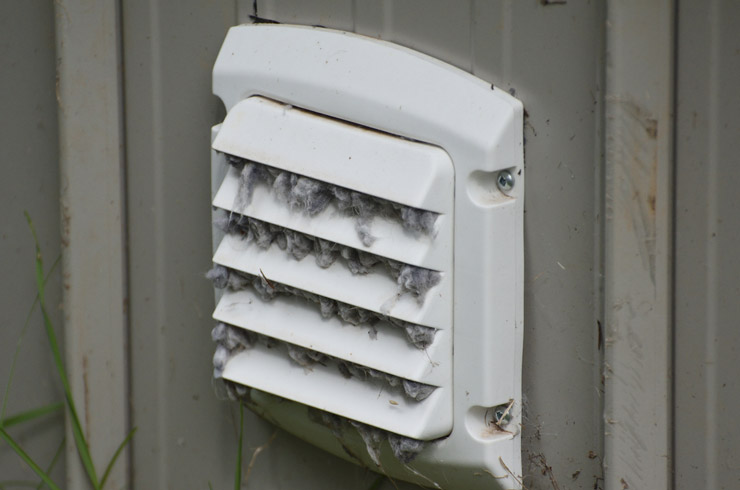 دریچه هوا و آلرژی