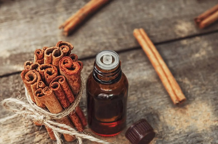 از بین بردن دائمی مورچه