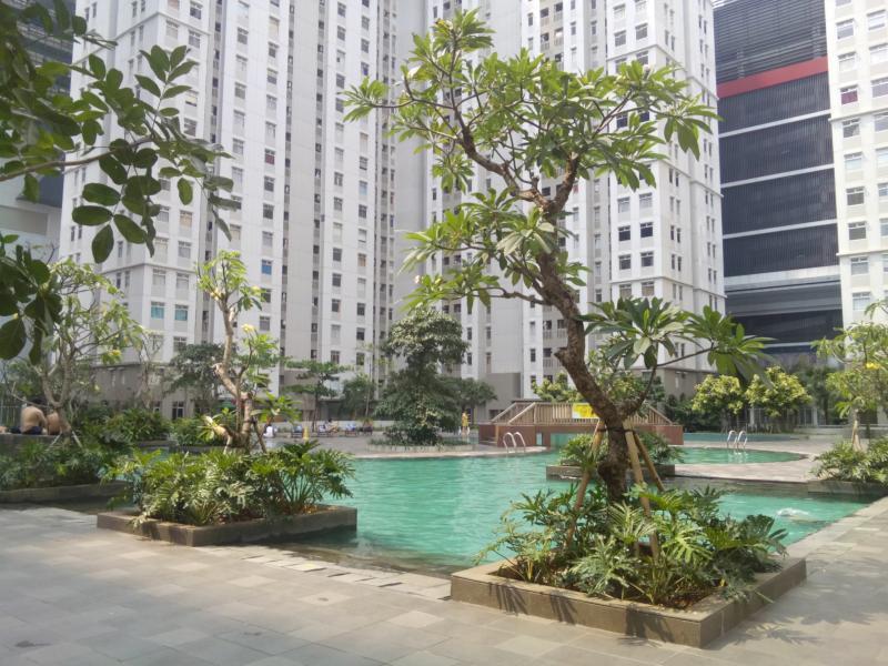 فضای سبز به همراه درخت و استخر در میان آپارتمان‌های مسکونی