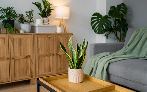 چیدمان حرفهای و اصولی حمل بار شمال تهران